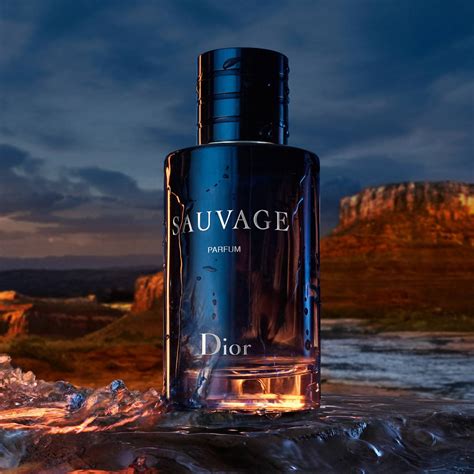 dior sauvage 100ml price malaysia|dior sauvage cheapest.